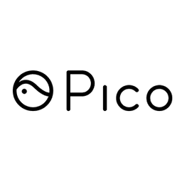 PICO INTERACTIVE