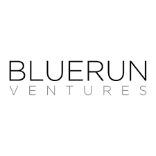 BLUERUN VENTURES