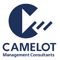 CAMELOT CONSULTING GROUP