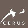 Cerus Advisors Dmcc