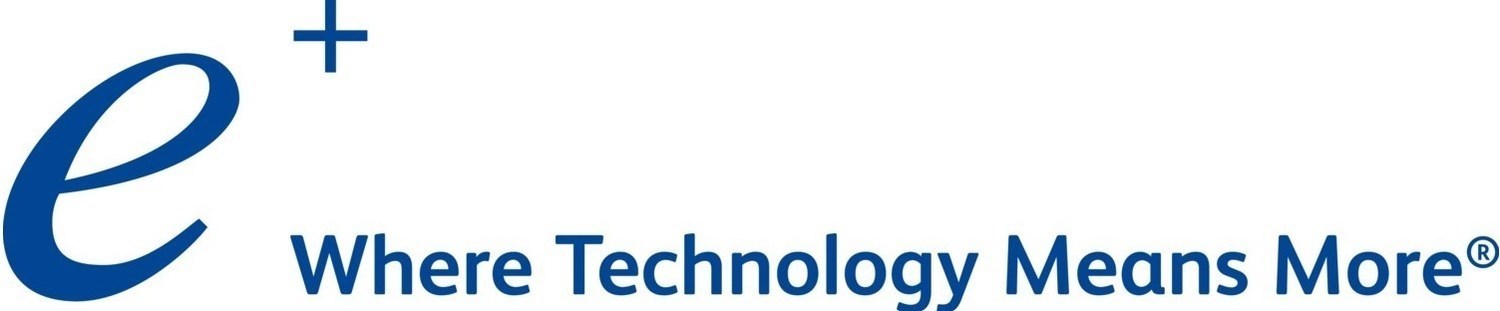 Eplus (specialty Financing Business)