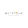 audit 31