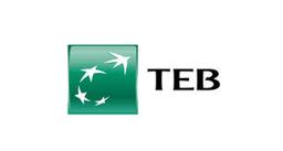 Teb Investment