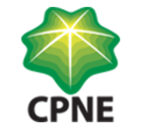 Cpire (2.1k Mw Renewable Energy Assets)