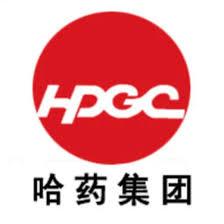 HARBIN PHARMACEUTICAL GROUP HOLDING CO