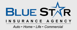 BLUE STAR INSURANCE AGENCY