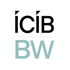 ICIB BROKERWEB INSURANCE AND RISK ADVISORY