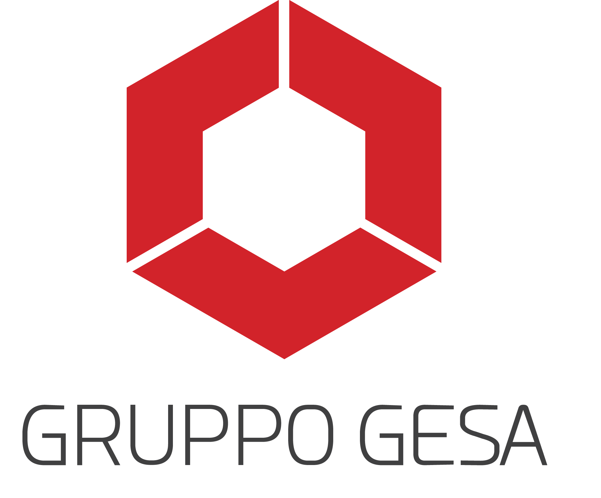 THE GESA GROUP