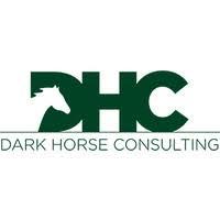 DARK HORSE CONSULTING GROUP