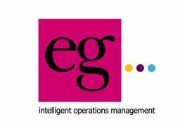 EG SOLUTIONS PLC