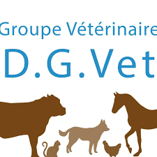 Groupe Veterinaire Dg Vet