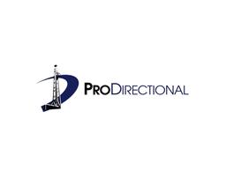 PROFESSIONAL DIRECTIONAL ENTERPRISES