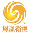 Phoenix Media Investment (holding)
