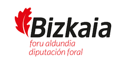 DIPUTACION FORAL DE BIZKAIA