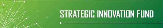 STRATEGIC INNOVATION FUND