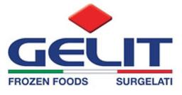 GELIT HOLDING SRL