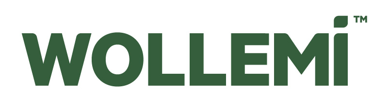 Wollemi Energy Group