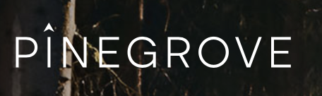 PINEGROVE VENTURE PARTNERS