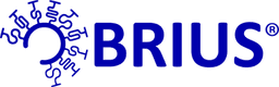 BRIUS INC