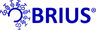 brius inc