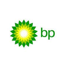 BP PLC (FIBER CABLE SYSTEM IN GULF OF MEXICO)