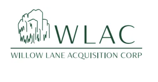 WILLOW LANE ACQUISITION