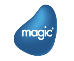 Magic Software Enterprises