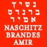 naschitz brandes amir