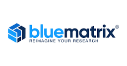 BLUEMATRIX