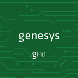 GENESYS GLOBAL LLC