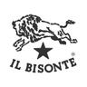 Il Bisonte