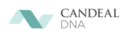 CANDEAL DATA AND ANALYTICS