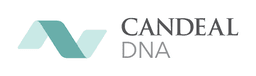 CANDEAL DATA AND ANALYTICS