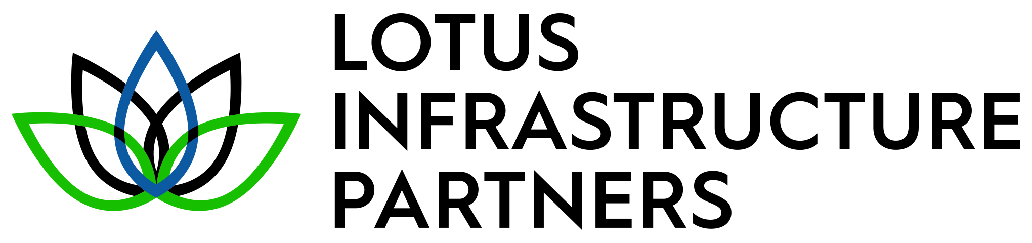 Lotus Infrastructure Partners (seven Modern Natural Gas Generation Facilities)