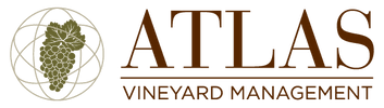 Atlas Vineyard Management