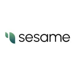 SESAME AI INC