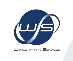 WORLD INFINITY SERVICES