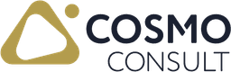 COSMO CONSULT