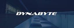 DYNABYTE CONSULTING