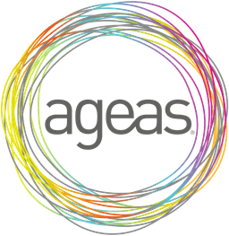 AGEAS INSURANCE INTERNATIONAL NV