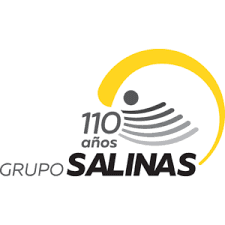 Grupo Salinas