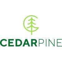 CEDAR PINE