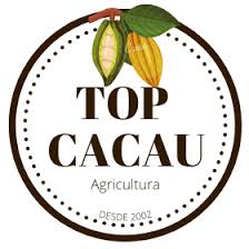 TOP CACAU