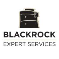 BLACKROCK EXPERT SERVICES GROUP