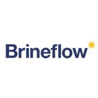 BRINEFLOW LIMITED