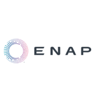 ENAP SIPETROL (OIL & GAS ASSETS IN ARGENTINA)