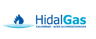  HIDALGAS