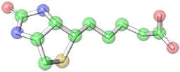 CONIFER POINT PHARMACEUTICALS LLC