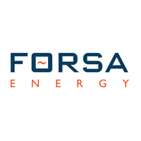 FORSA ENERGY GAS HOLDINGS LTD
