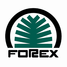 FOREX